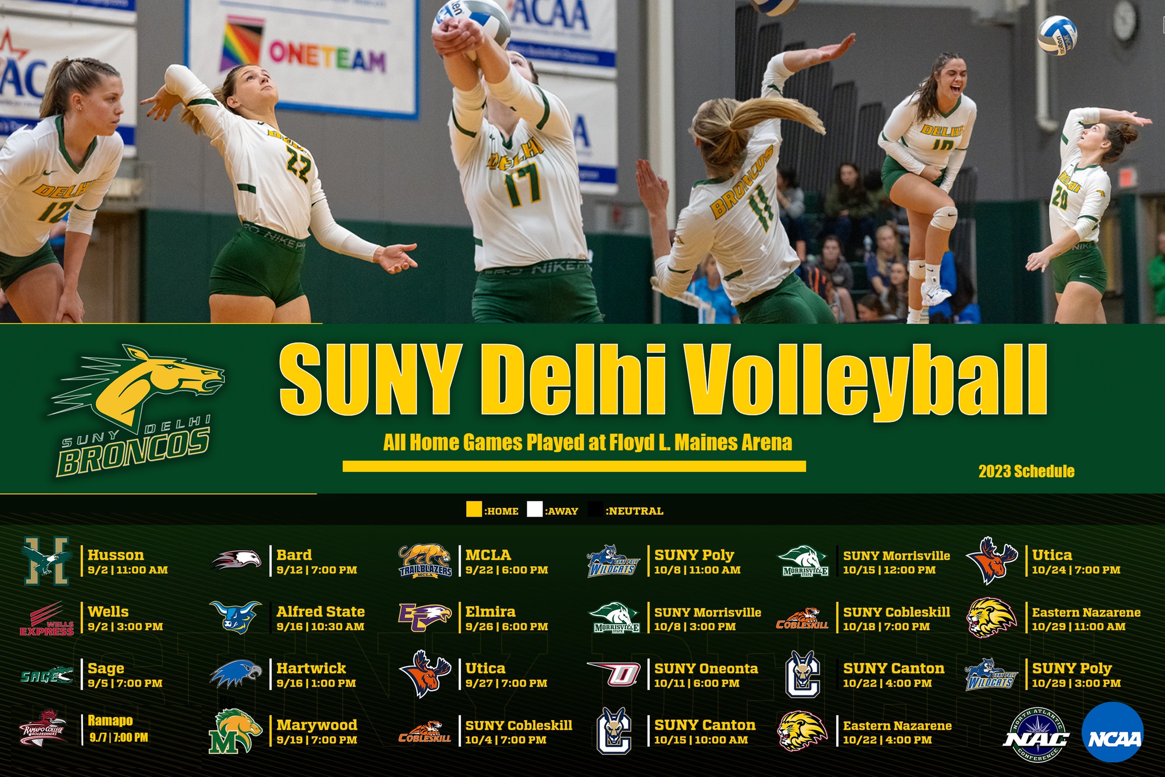 2023 SUNY Delhi Volleyball Season Preview