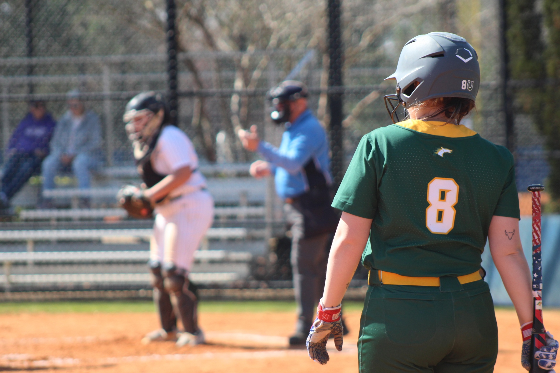 Softball Drops Conference Doubleheader to Cobleskill