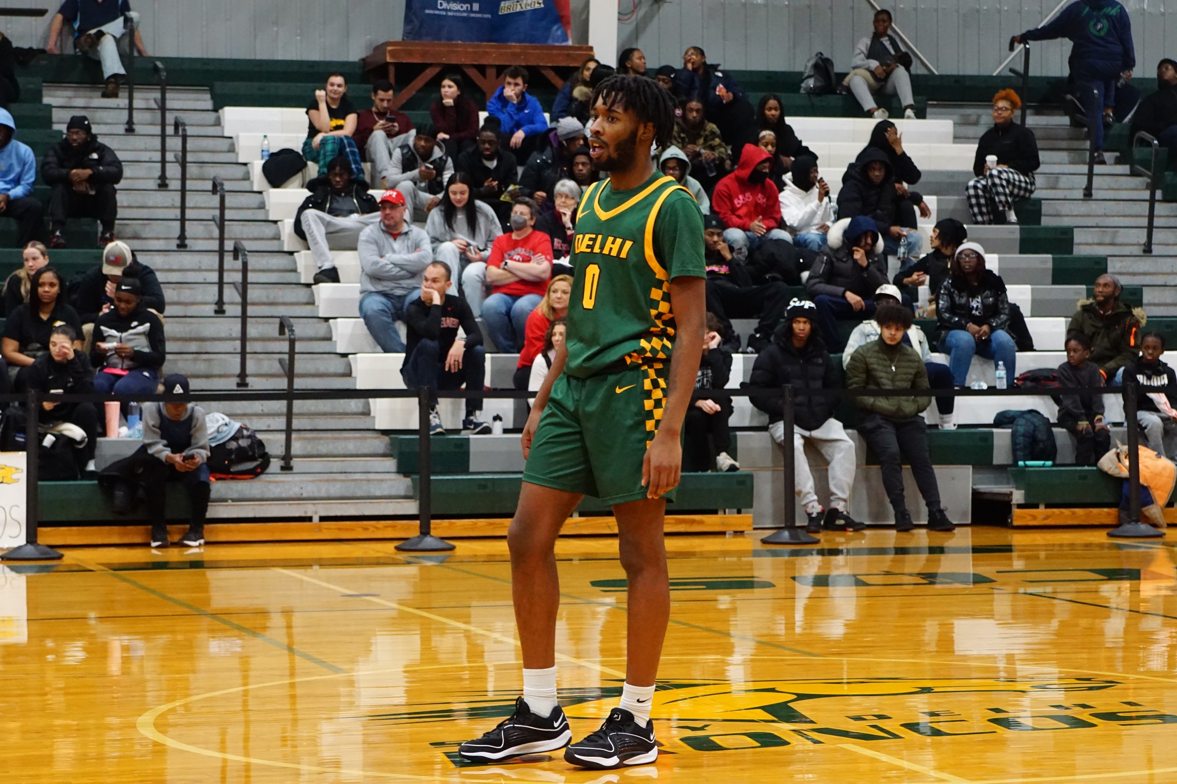 Delhi disarms the Engineers defeating RPI 62-43 in home opener