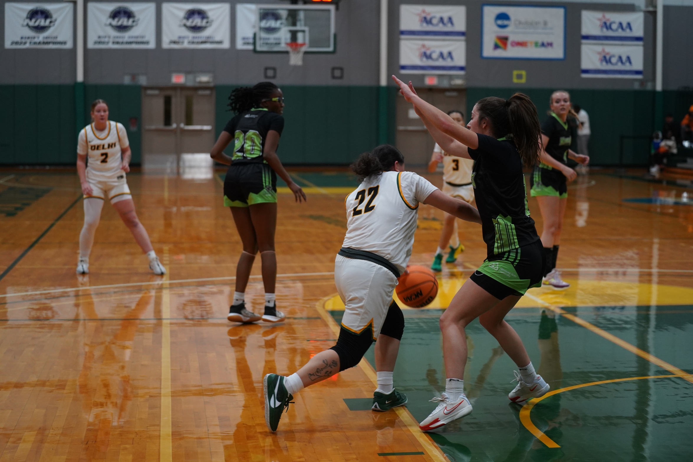 Women's Basketball Fall Short Against Keuka