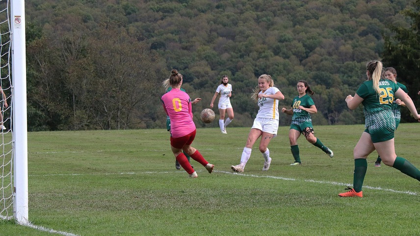 soccer players attempting to score a goal