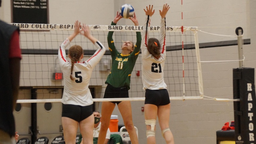 volleyball players