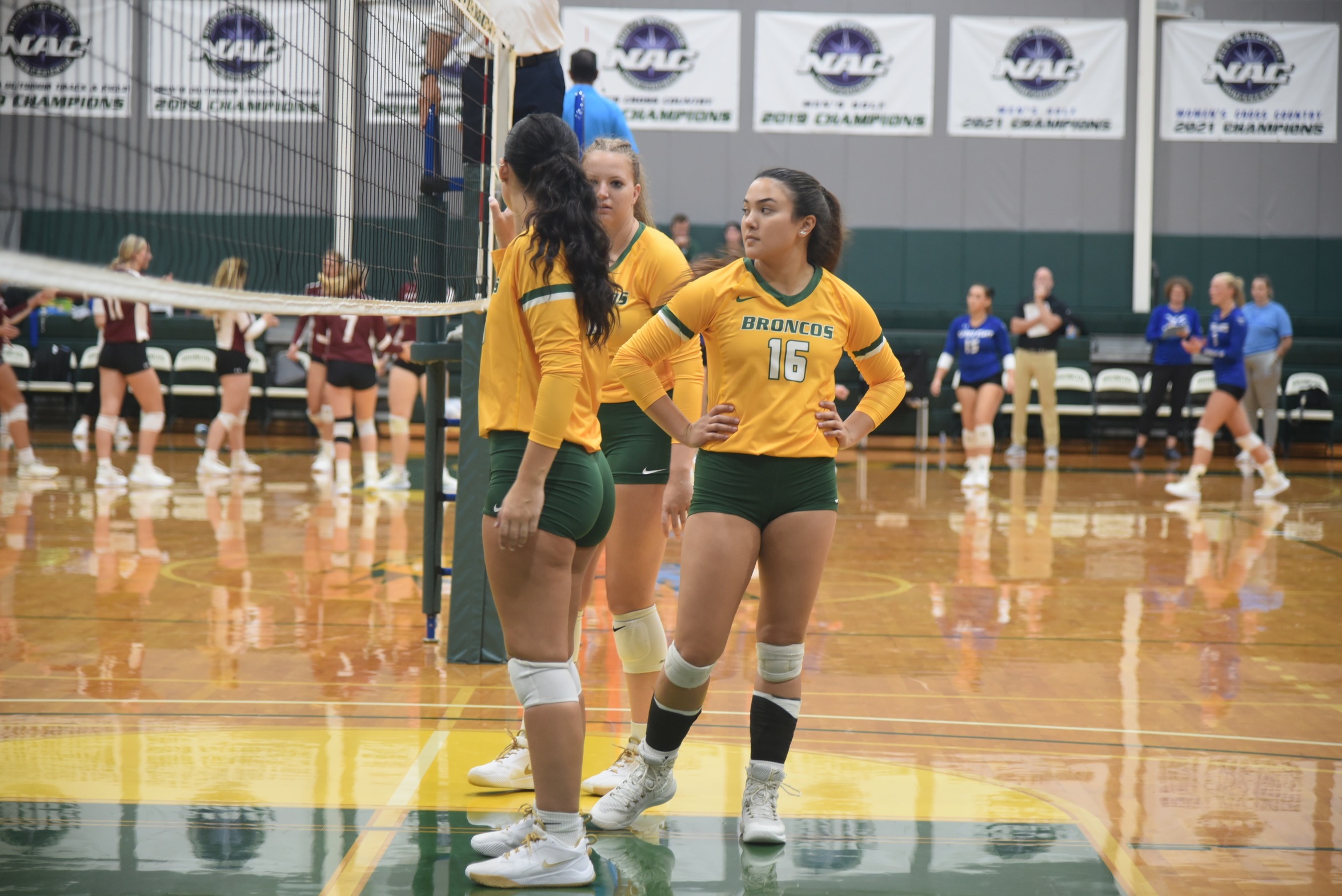 Women's Volleyball Comes Up Short At Weekend Quad Match