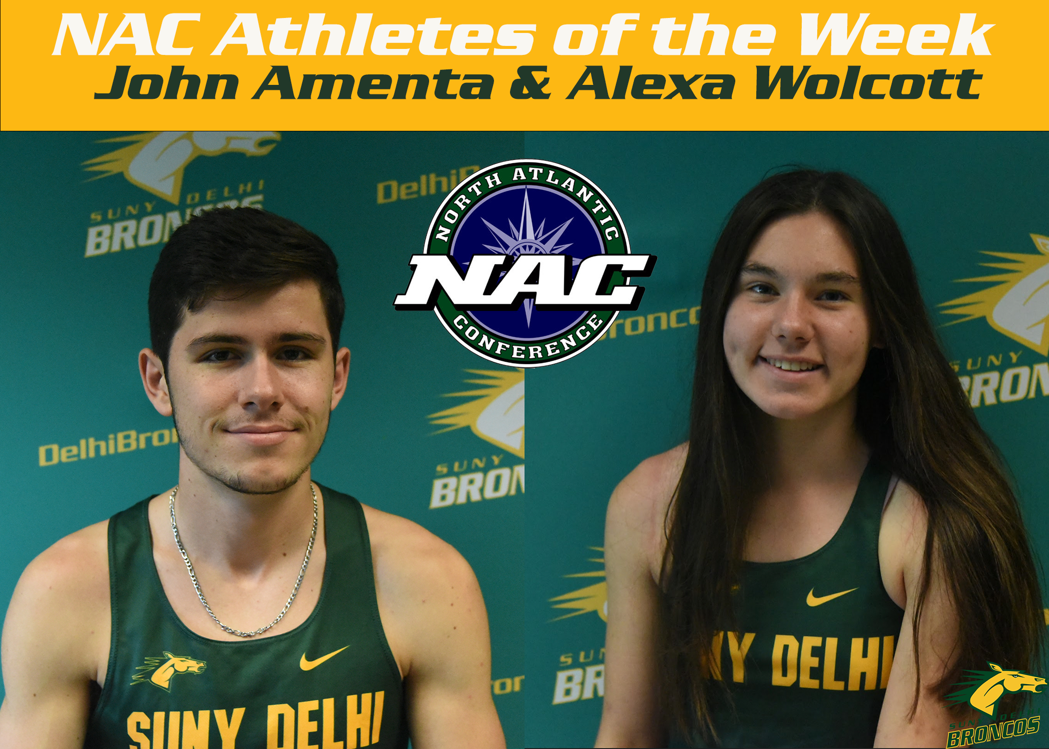 Delhi Cross Country Secures Three NAC Awards After Meet at Vassar